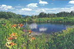 Quebec Ashram