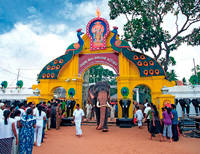 Buddha temple