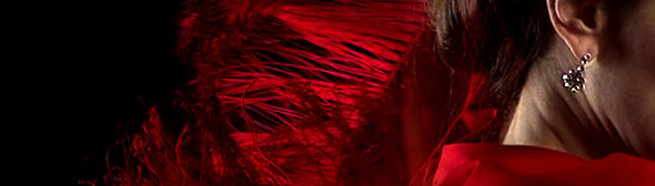 Flamencoschule Surya in Düsseldorf