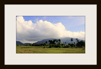 Arunachala